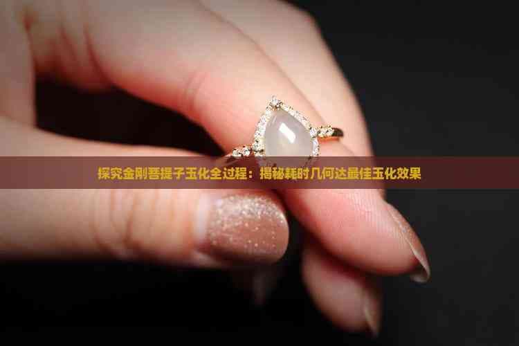 探究金刚菩提子玉化全过程：揭秘耗时几何达更佳玉化效果
