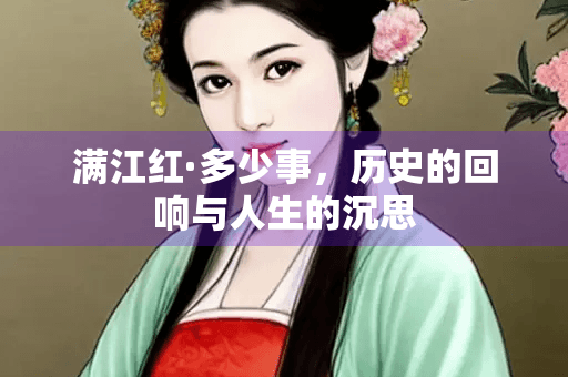 满江红·多少事，历史的回响与人生的沉思