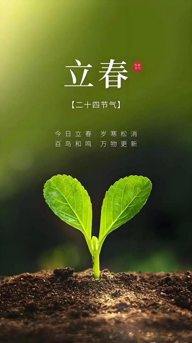 立春之后，喝什么茶最养生？