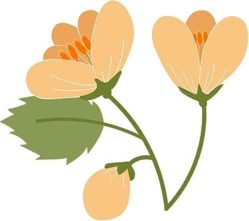 丽水七处油菜花观赏地全攻略：从莲都到松阳，春日限定美景不容错过