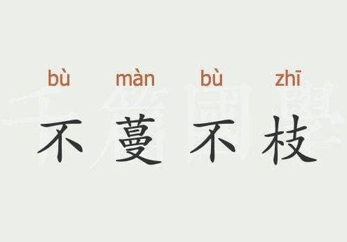 不蔓不枝：成语的本义与引申义