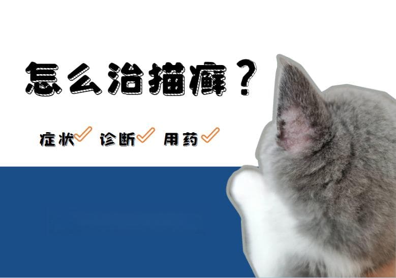 还不清楚怎么治猫癣？这里有症状、诊断、用药超详细教程！