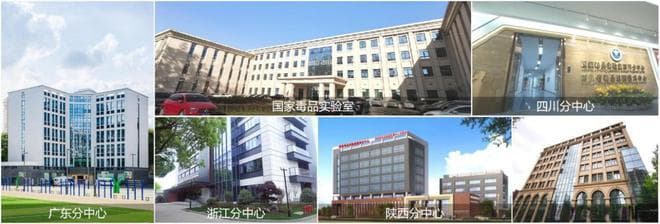 中国禁毒工作科技创新成就：构建“1+5+N”毒品实验室网络
