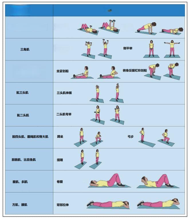 每周两次力量锻炼，可防心血管病！AHA科学声明