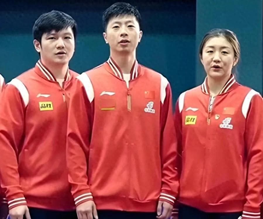 国际乒联官宣！修改世界杯规则，马龙、樊振东、陈梦无缘单打资格