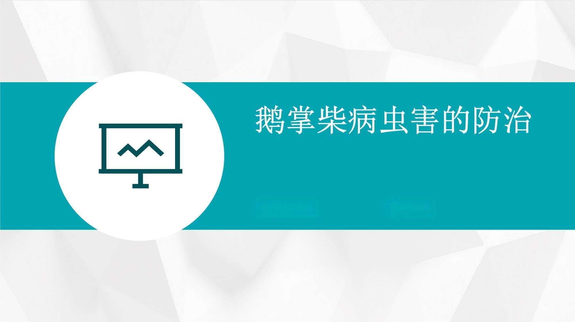鹅掌柴病虫害的防治