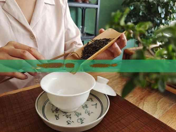 桑叶山楂枸杞普洱茶的功效与禁忌及作用，桑叶山楂枸杞能否泡茶