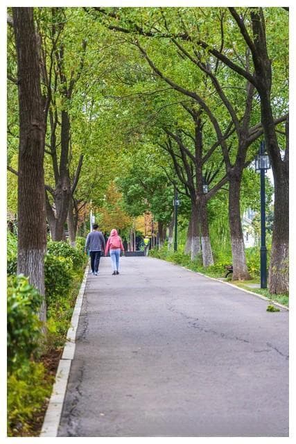 男生需要情感咨询吗？男人到底需要什么？尊重和理解！