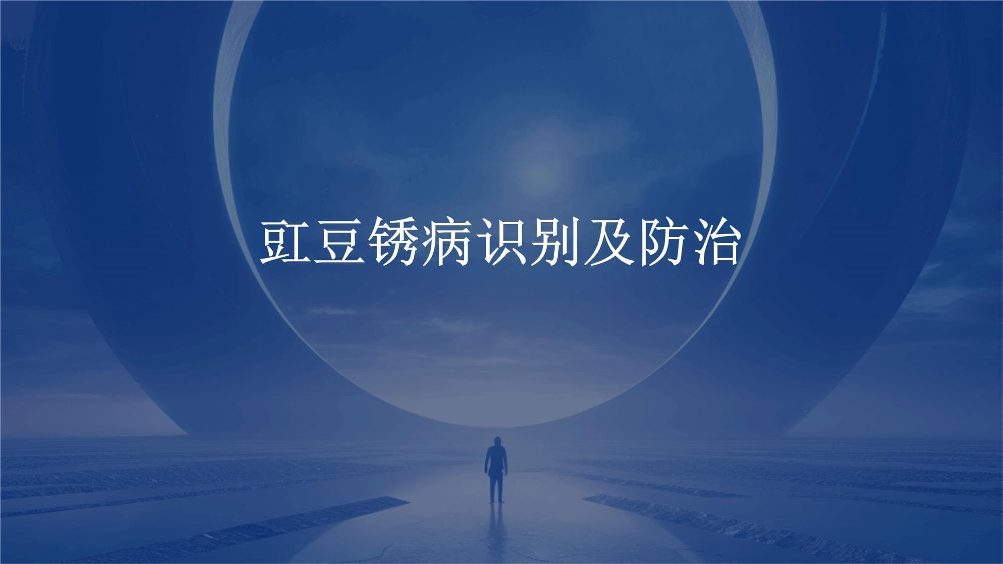 豇豆锈病识别及防治