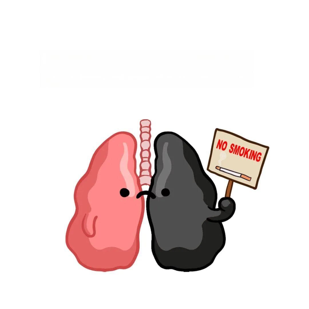 健康科普 | 禁烟控烟知识宣传