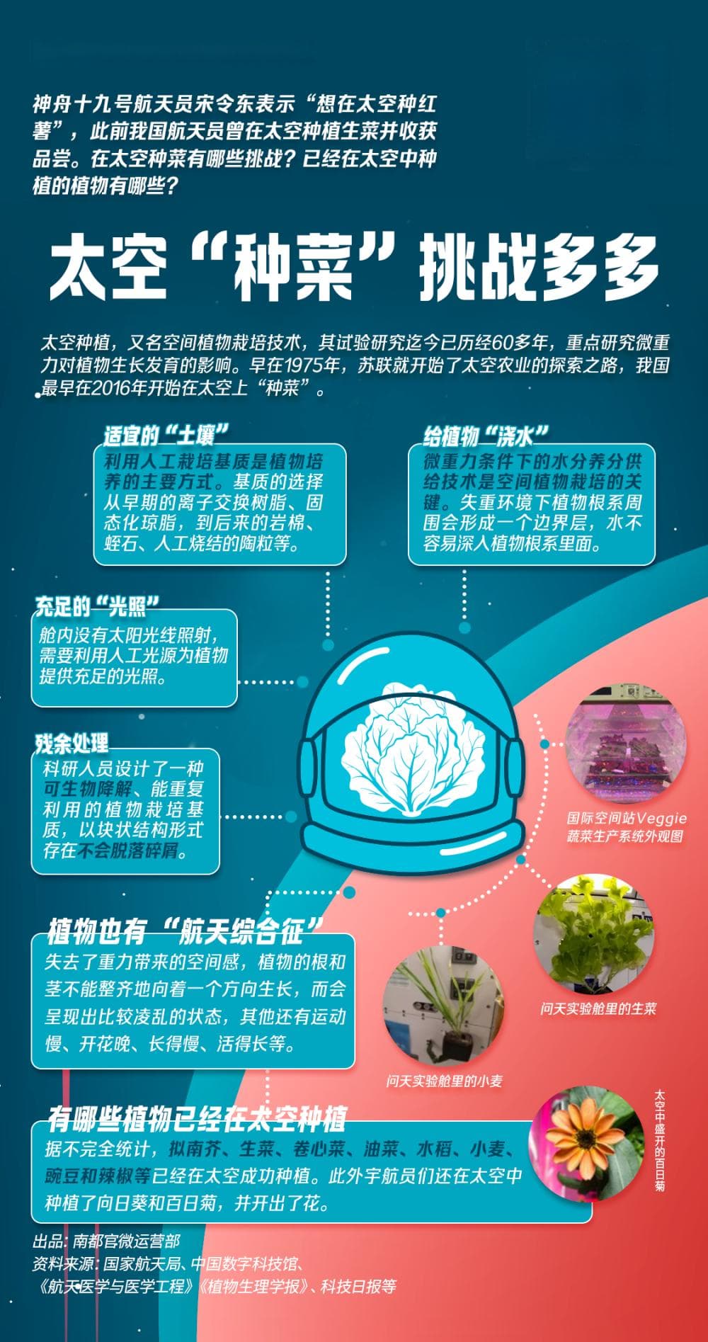 “想在太空种红薯”，太空种植挑战多多，这些植物曾“上天”