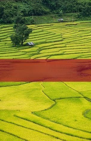 从资阳到厦门的详细路程：公里数、交通方式及旅行建议