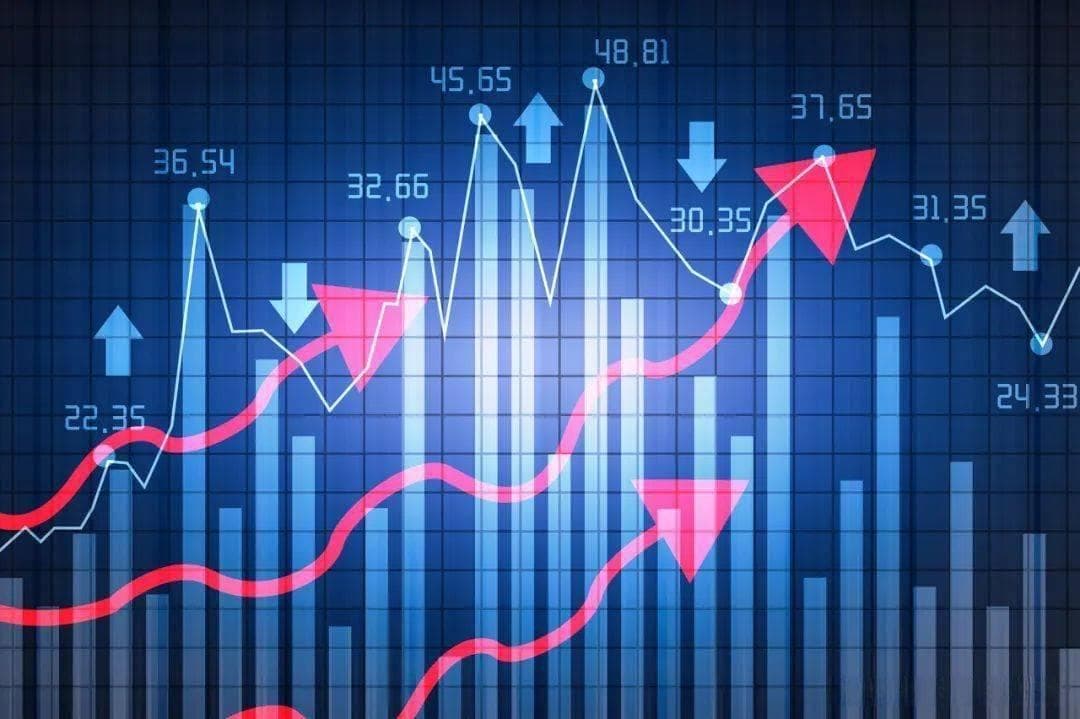 投资组合：智慧理财的多元化策略