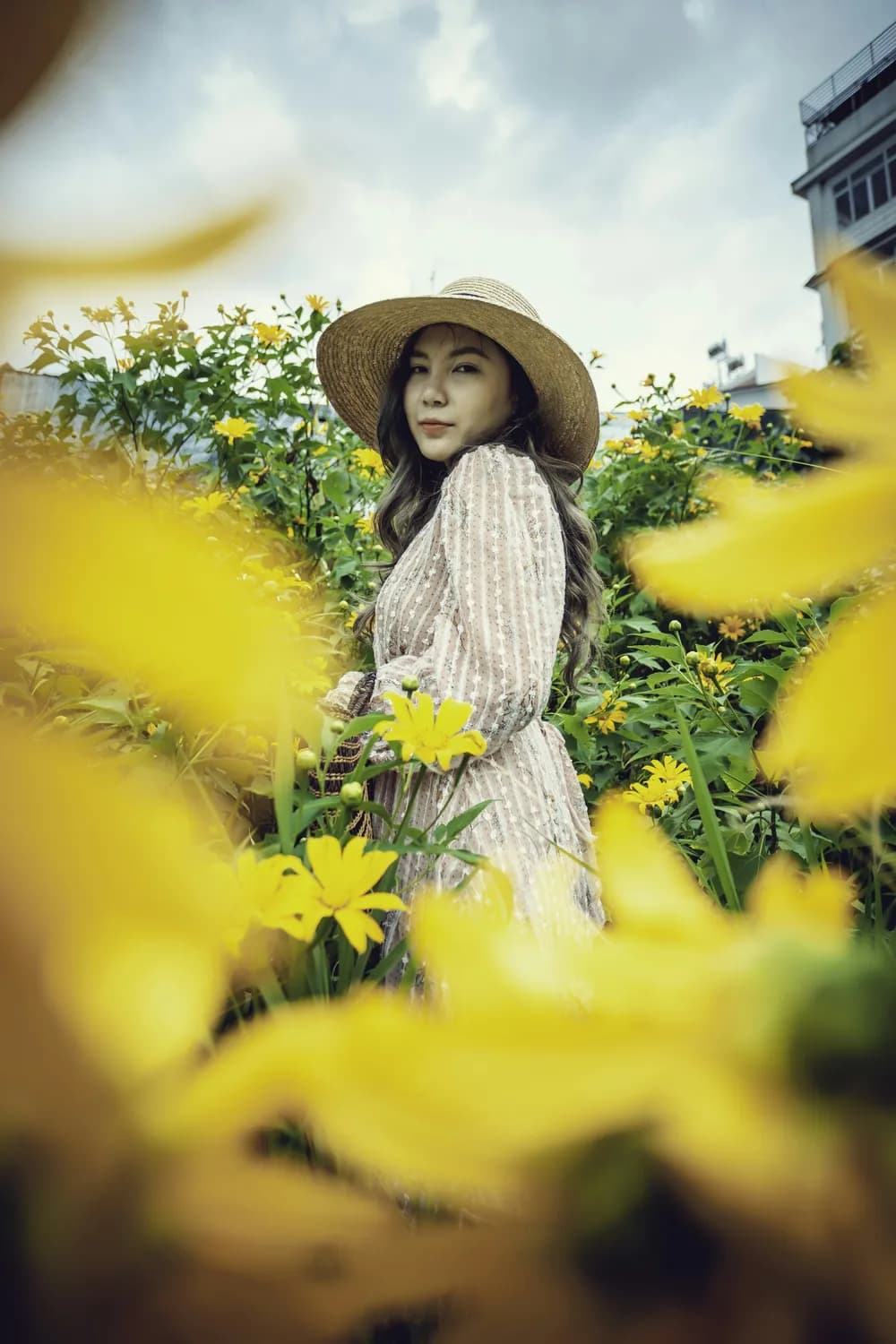 崔健《花房姑娘》：一首歌，一个时代的记忆