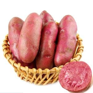 红土豆的功效与作用