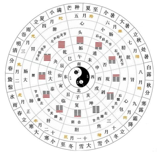 十二辟卦、地支、律吕与节气：古代宇宙观的和谐统一