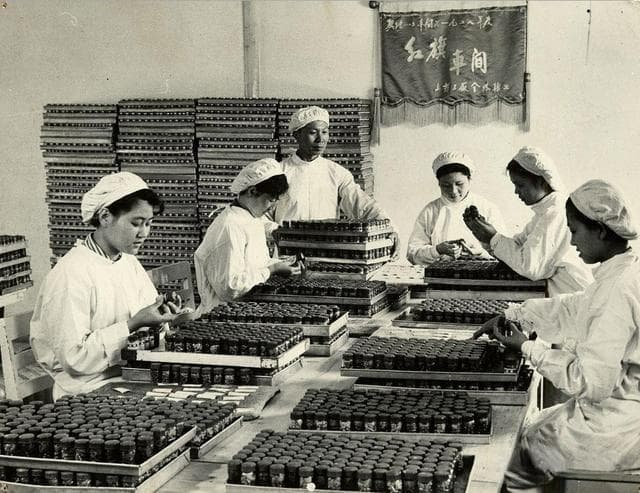 1951年中国试产首支青霉素，开启抗生素自主研发之路