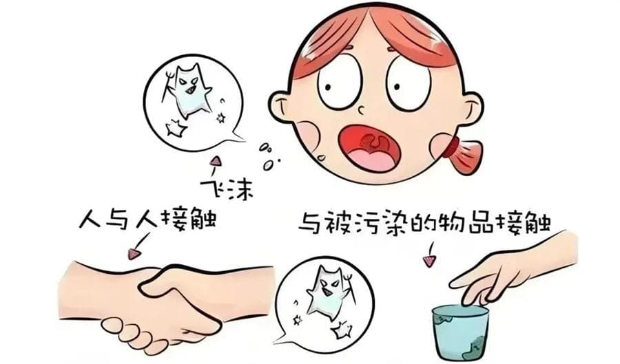 腺病毒感染全面指南：症状识别、处理方法与预防措施
