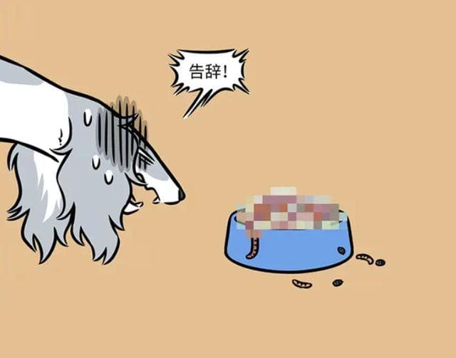 非人哉：啸天“背叛”杨戬转投星君，结果被坑了，最后还是回去了