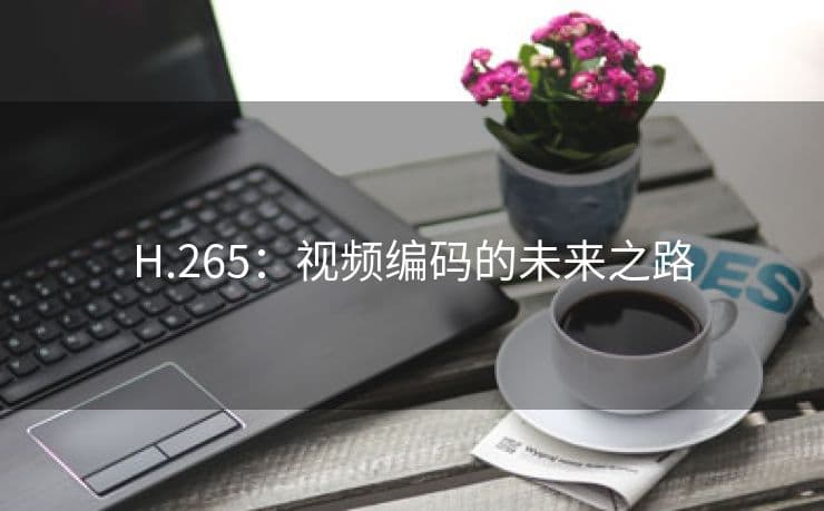 H.265：视频编码的未来之路
