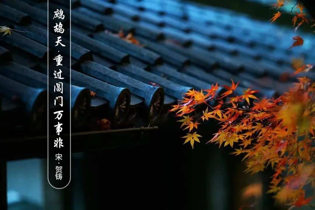 宋·贺铸《鹧鸪天·重过阊门万事非》赏析