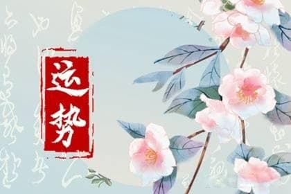 煞气冲了夫妻宫怎么处理？乐增宏为你分析