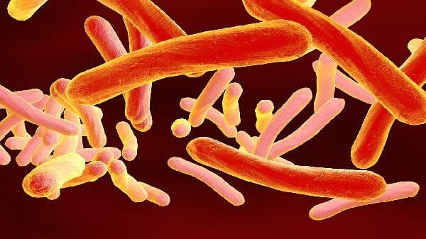 病毒性鼻炎和细菌性鼻炎：病因、症状及治疗方法全解析