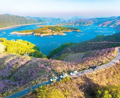 辽宁成立G228旅游联盟，打造中国最北海岸旅游新地标