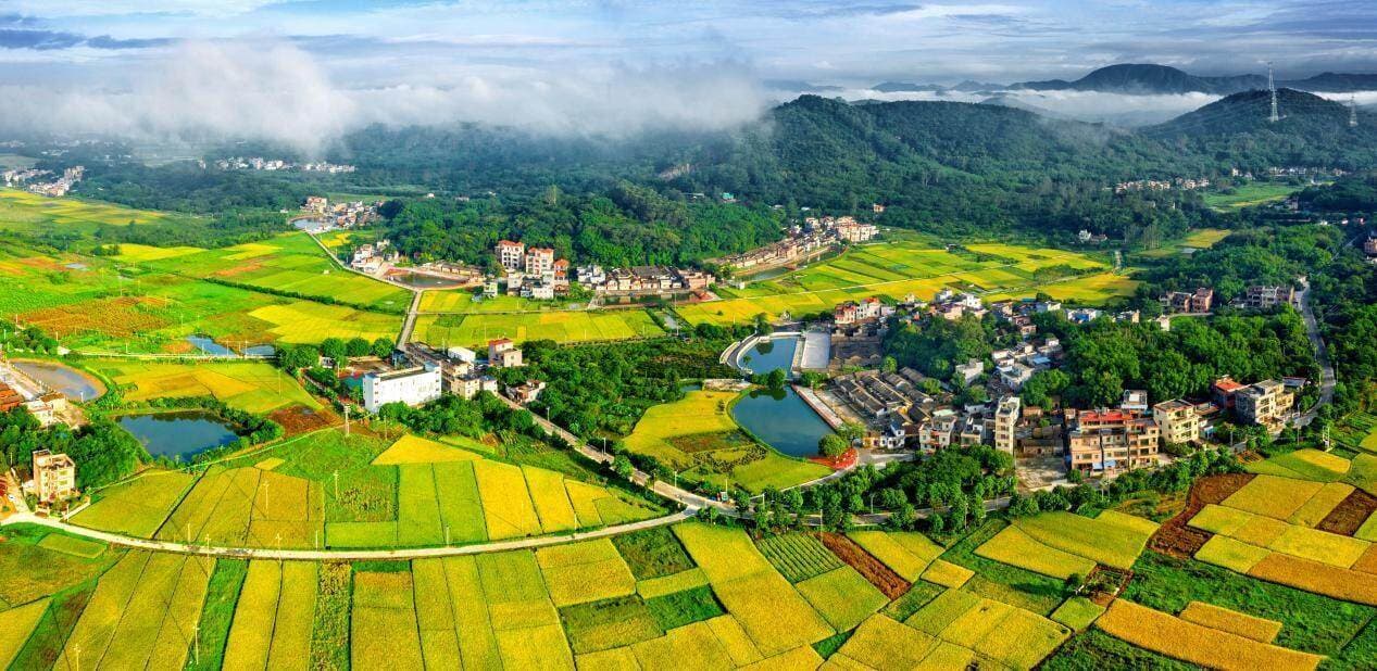 广州增城：推进农村人居环境整治，全力构建和谐美丽乡村