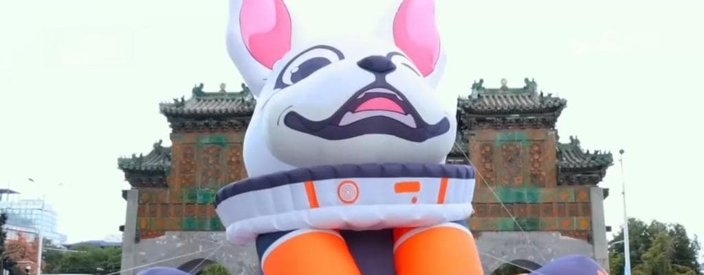 “小”宠物激发“大”市场 “它经济”成为年轻力消费新趋势