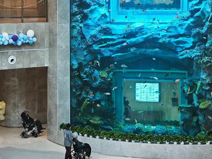 深化养老服务改革 促进银发经济发展