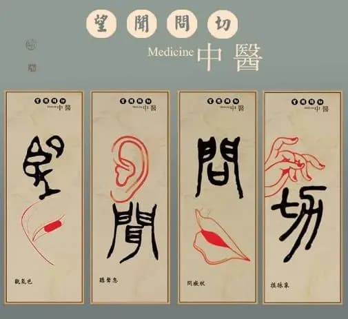 中医如何调节人体的气血平衡？