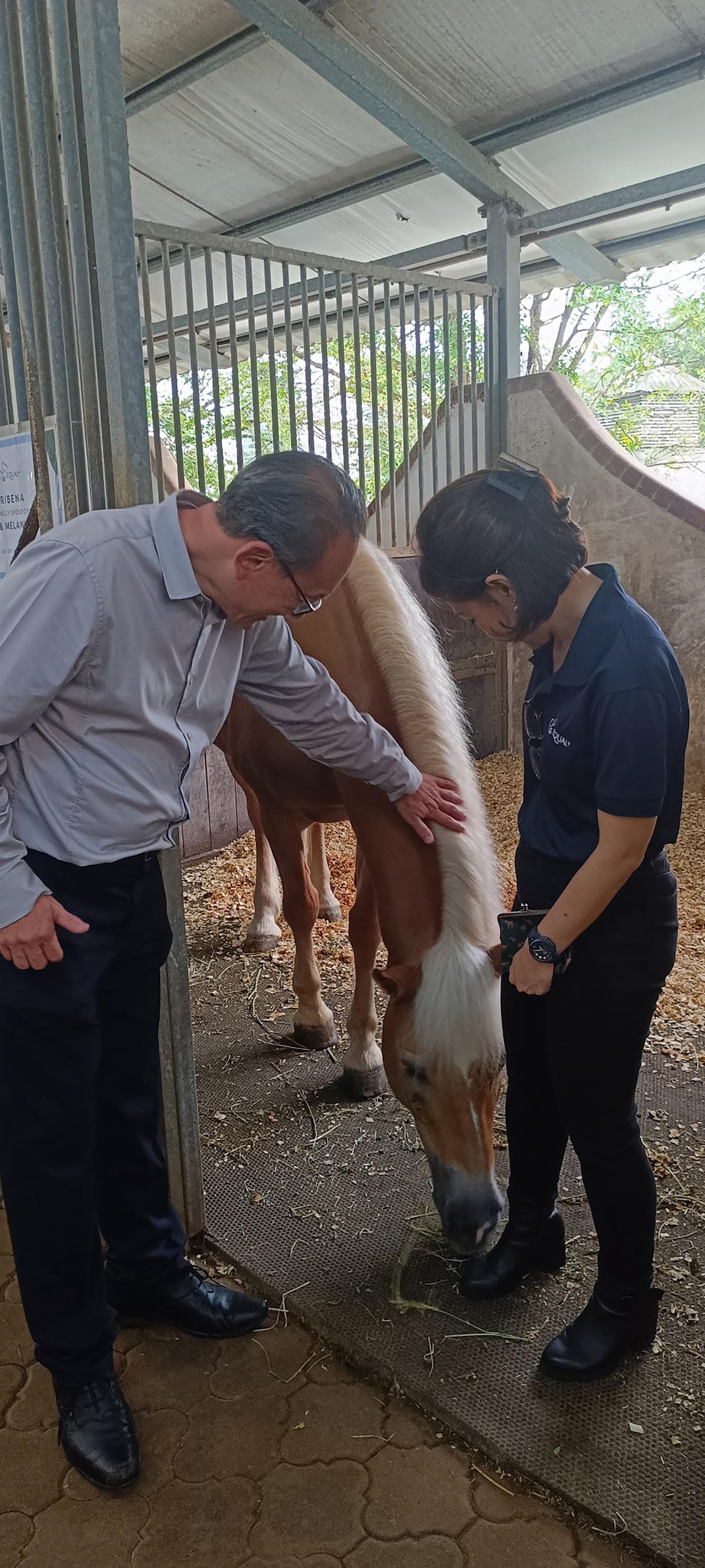 动物辅助干预 为人类尽犬马之效