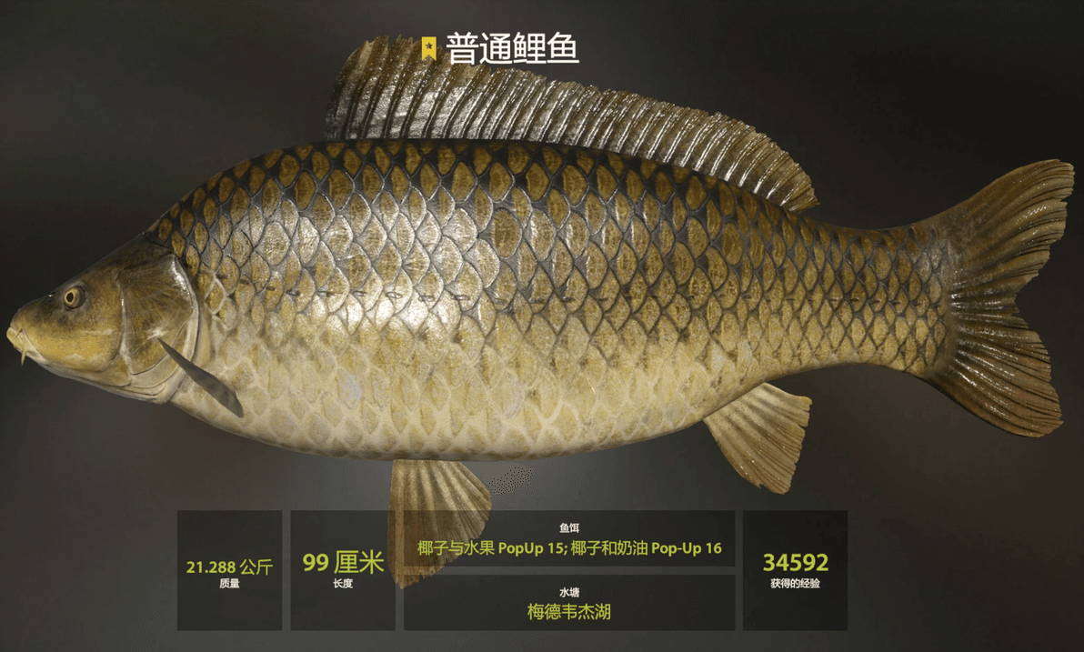 俄罗斯钓鱼4进阶指南：高性价比钓具选择攻略