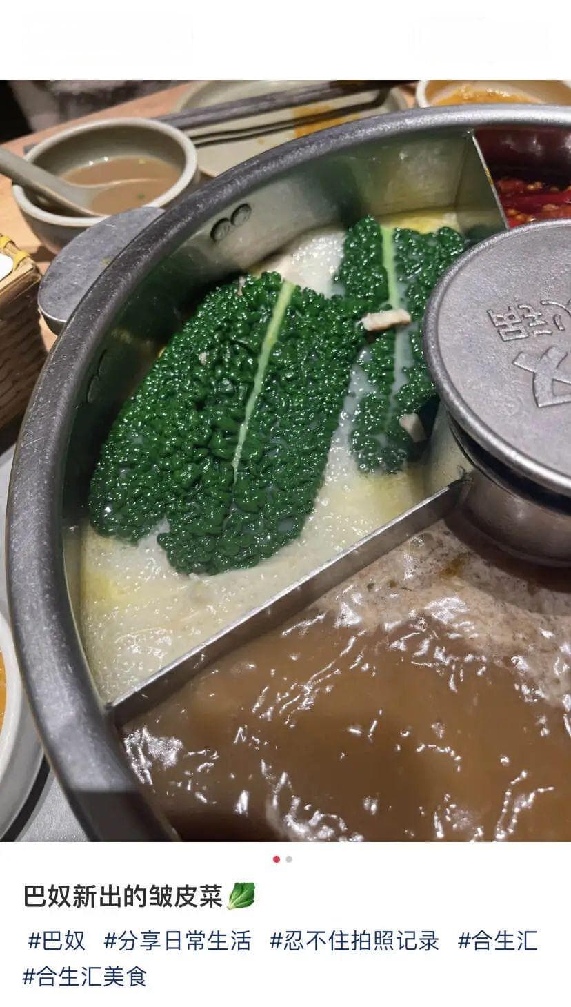 巴奴火锅新推皱皮菜，实为高端蔬菜而非“喂猪菜”