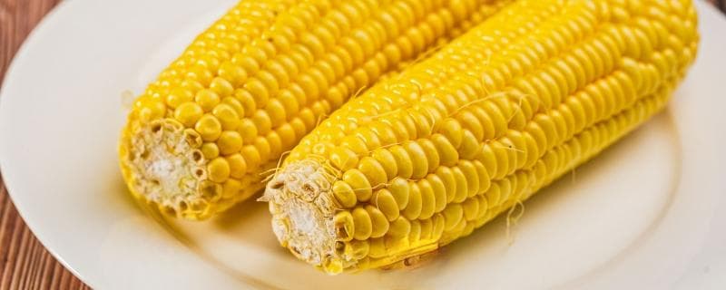甜玉米是转基因的吗？一文读懂如何辨别转基因玉米