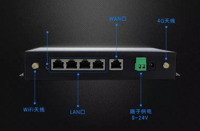 猫与路由器：网络连接中的两颗明珠