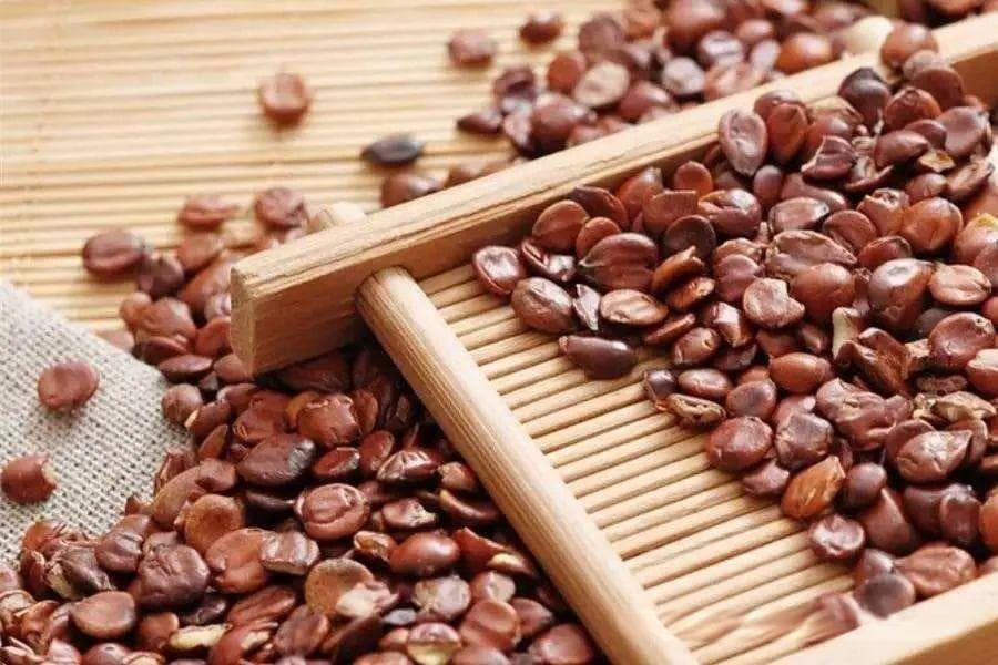 “东方睡果”酸枣仁真的能治失眠吗？（上）