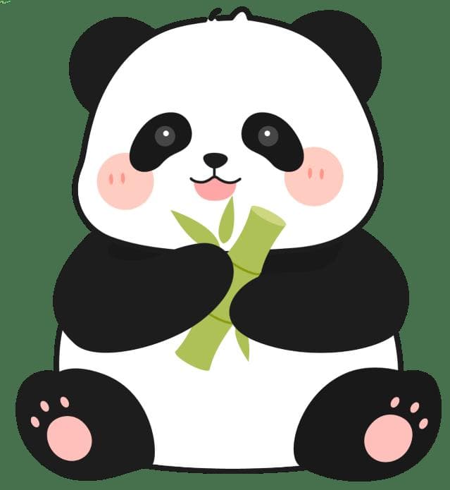 大熊猫的“放归”路：守护与希望