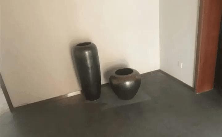 进门最忌讳看到这个，赶紧摆盆花化解，早看早知道！