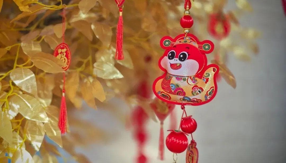 新的一年身体健康最重要！蛇年全身保养手册，请查收