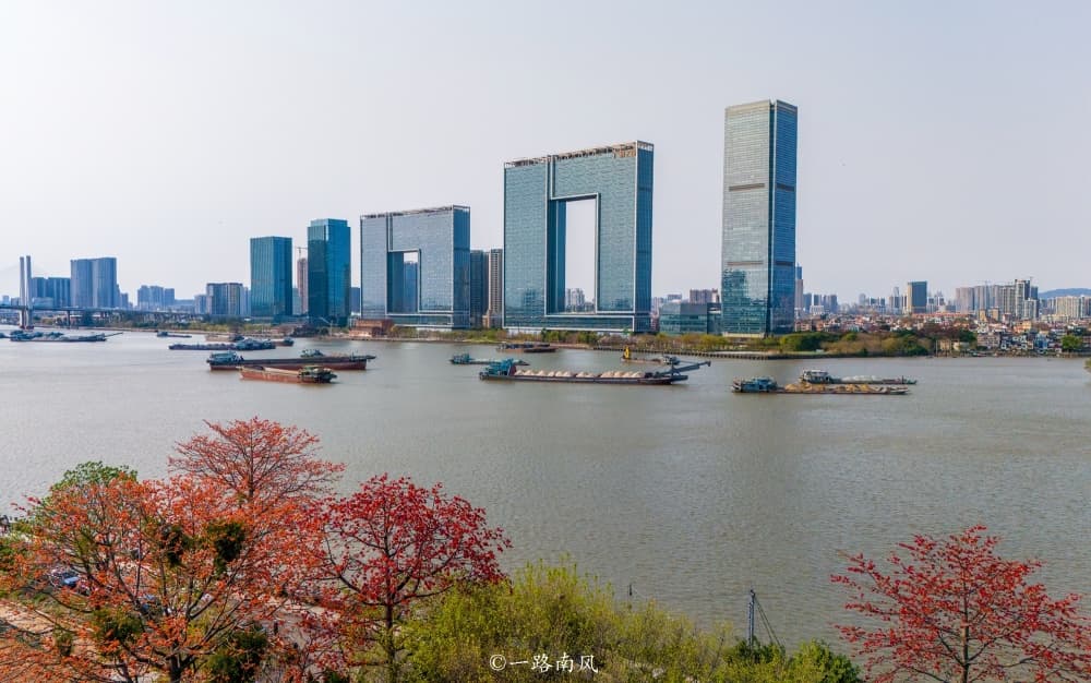 广州番禺喜临院：木棉花与广州之窗隔江相望，摄影发烧友的新宠打卡地