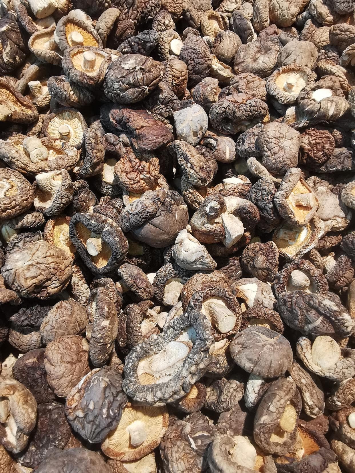 香菇：四大好处，需要焯水吗，烹饪技巧与食用禁忌