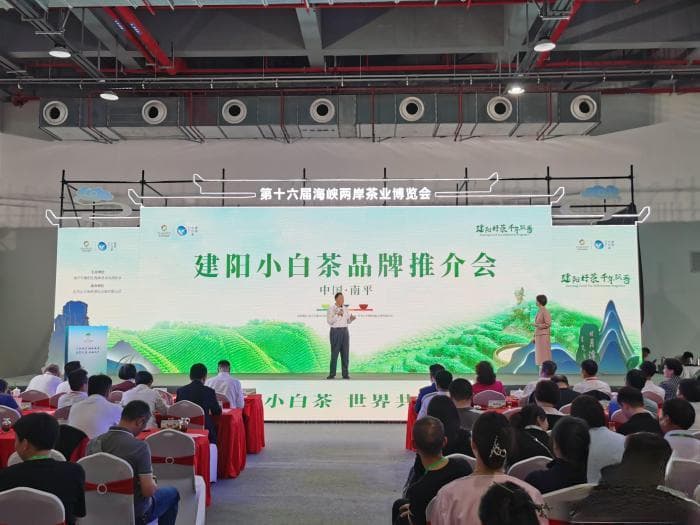 解密建阳“小白” 进一步传承弘扬茶文化