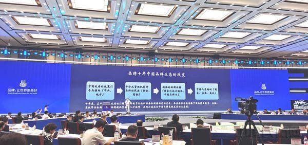 擦亮“民用航空制造”中国品牌 《中国品牌十年路》发展报告在浙江德清发布