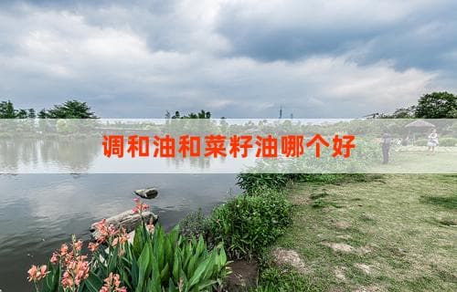 调和油和菜籽油哪个好？ 全面对比解析