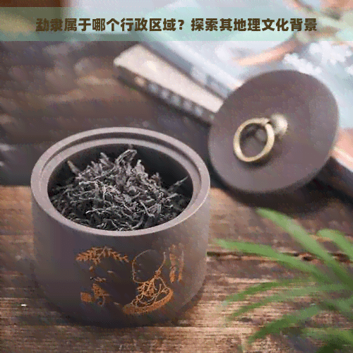 勐隶属于哪个行政区域？探索其地理文化背景