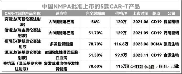 国家免疫细胞治疗肿瘤全景解析：从现状分析，璀璨前景与并存挑战