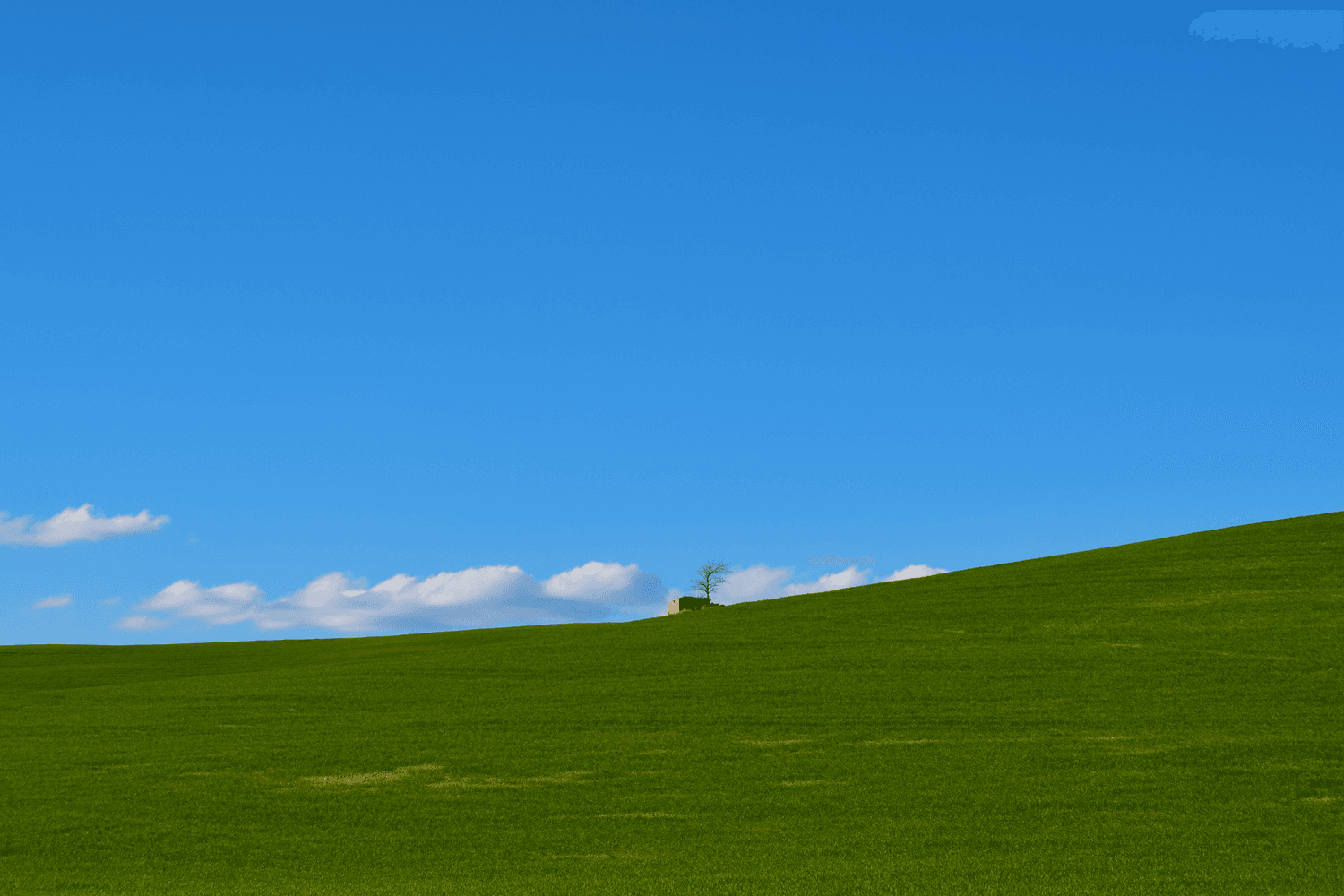 从Windows XP到Windows 11：一个操作系统的进化史