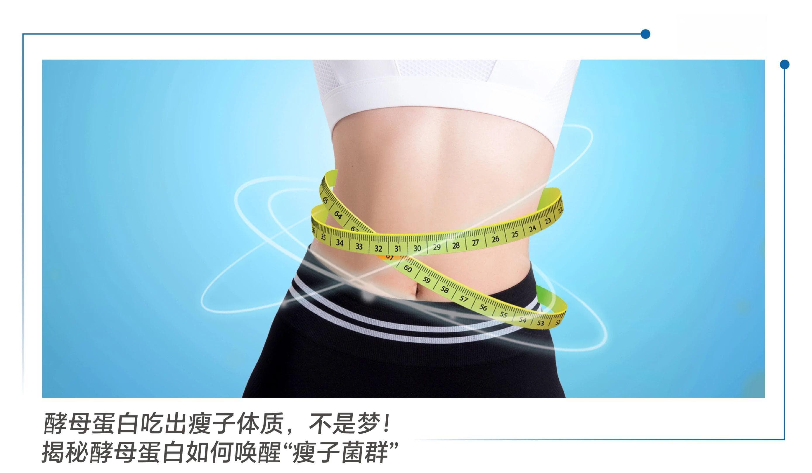 酵母蛋白吃出瘦子体质，不是梦！揭秘酵母蛋白如何唤醒“瘦子菌群”